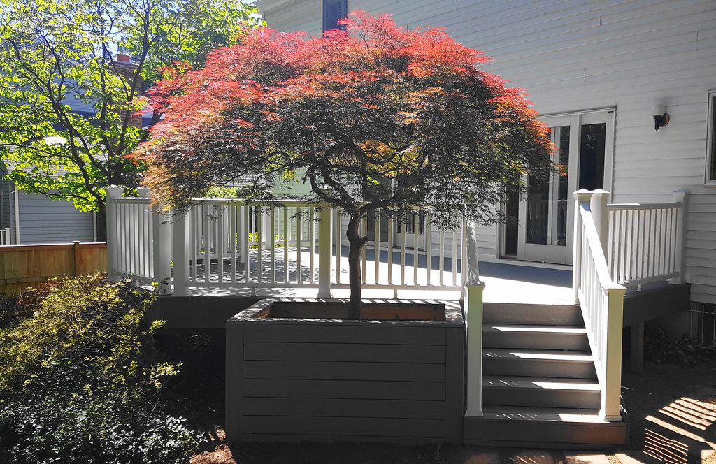 Trex Deck & Vinyl Railing in Rockville, MD