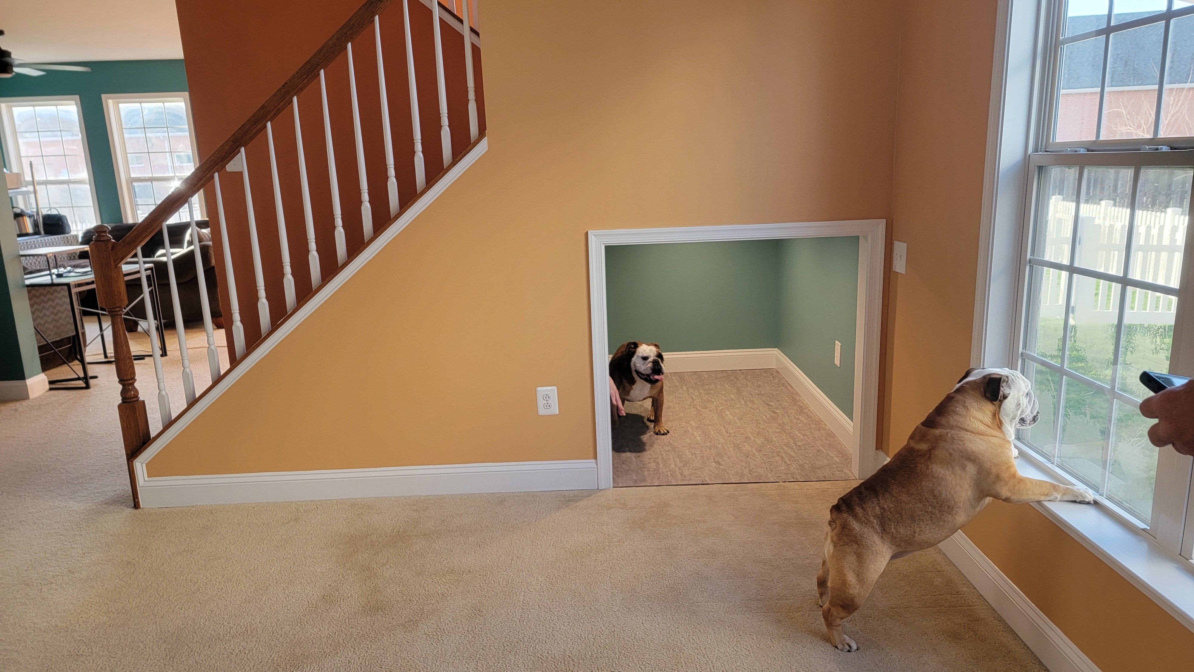 'The Doggie Den' in Spring Mills, WV